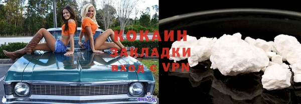 шишки Балабаново