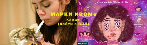 шишки Балабаново