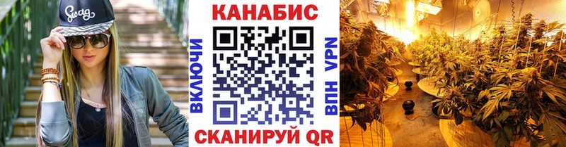 Каннабис гибрид  блэк спрут ссылка  Нязепетровск 